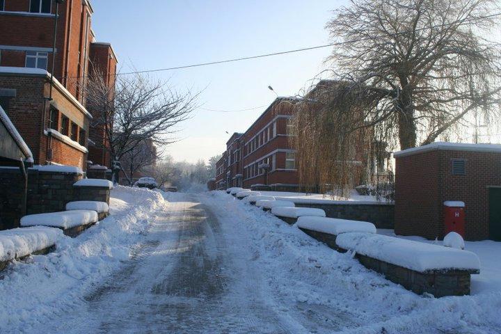 Saive Winter 2010_06.jpg